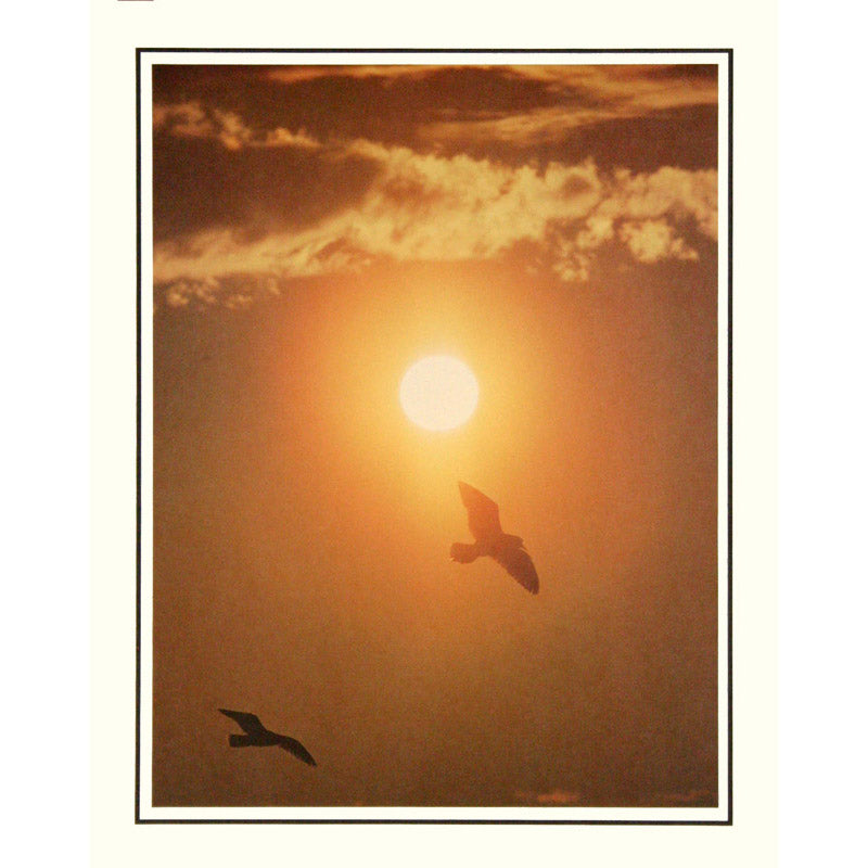 Vintage Birds at Sunset Print