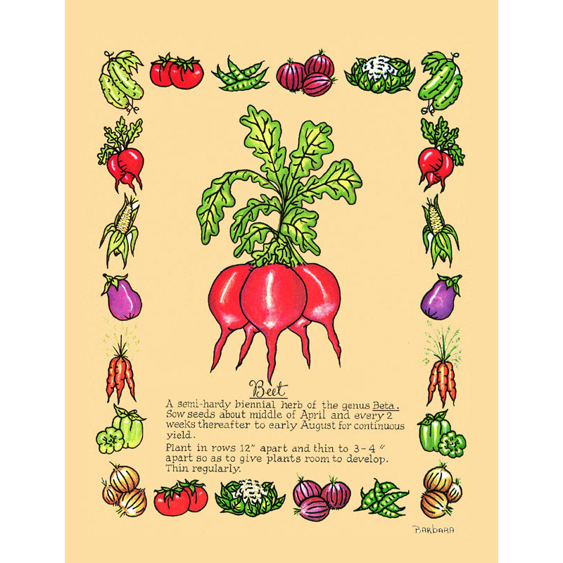 Vintage Botanical Beet Print