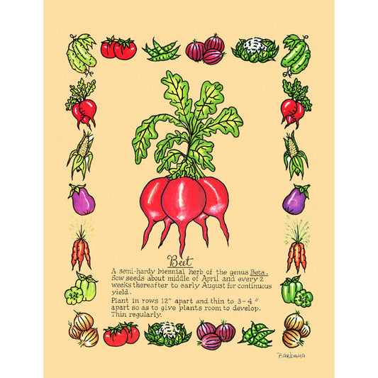 Vintage Botanical Beet Print
