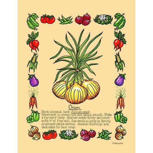 Vintage Botanical Onion Print