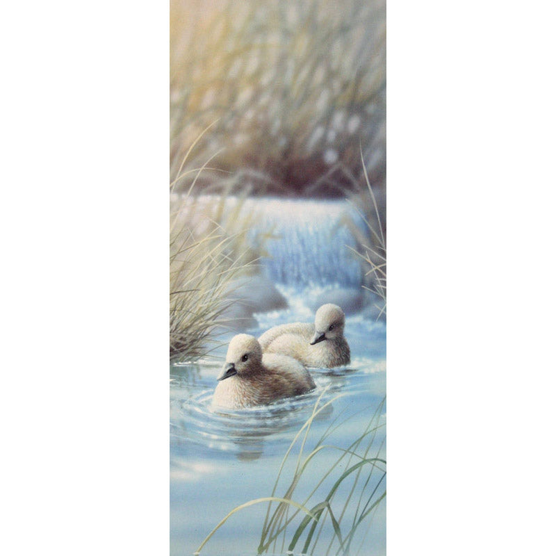 Vintage Duck Art Print