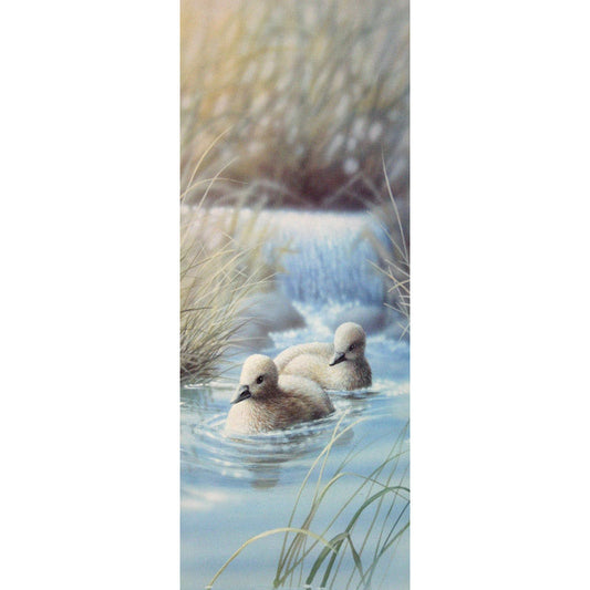 Vintage Duck Art Print